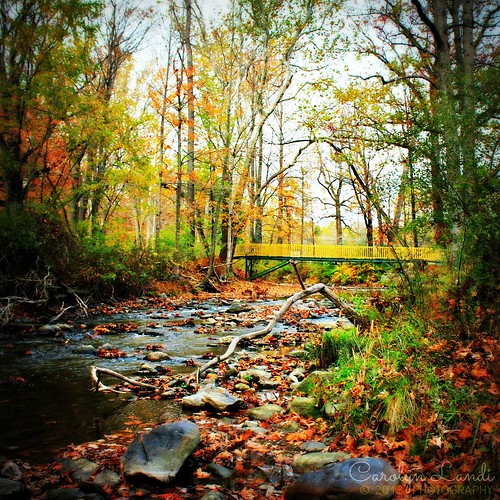 bridge autumn trees fall water leaves yellow river landscape northampton rocks colorful stream pennsylvania pa carolynlandi