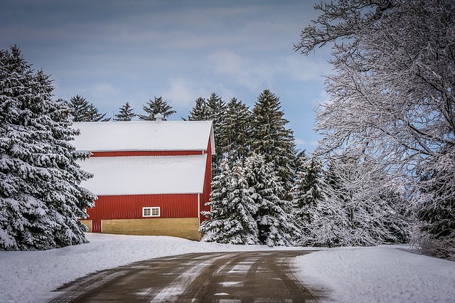 The Farm Up the Road on a Snowy Morning