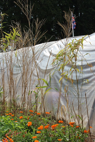 Poly Tunnel | by Tracy.Wilson
