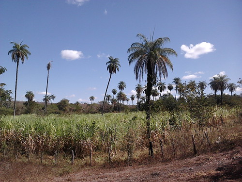 Fazenda Macaúbas | Fotos realizadas por Elmiro Ribeiro Junio… | Flickr