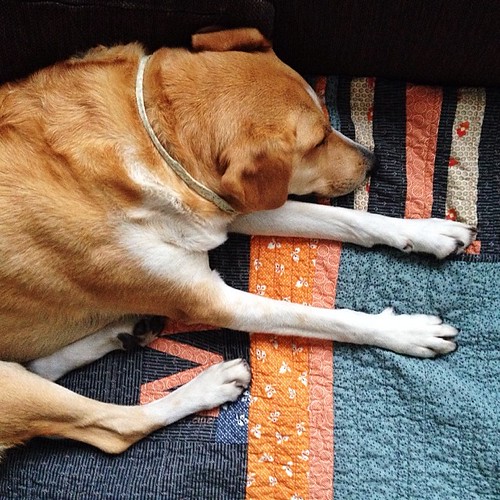 Pre-work nap. #maisyquilt | by make_something