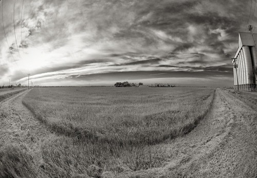 blackandwhite field clouds texas katy fisheye katytexas grassfield brookshire ricesilo wallercounty brookshiretexas wallercountytexas