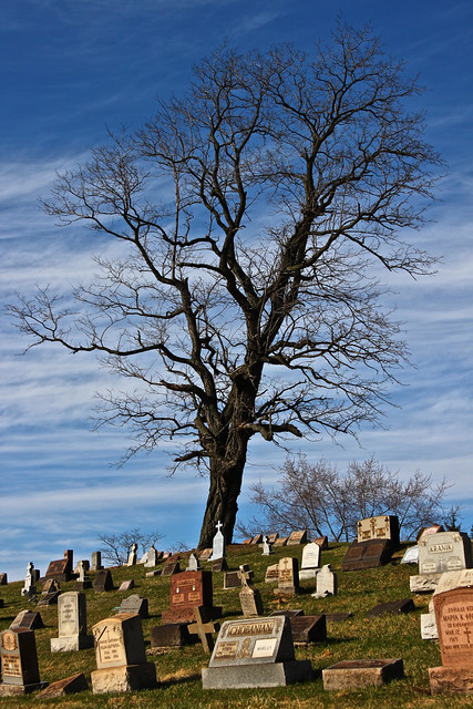 Monongahela Cemetery