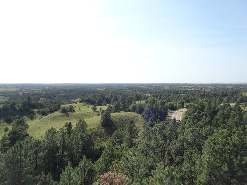 Nebaska National Forest by devietor, 
