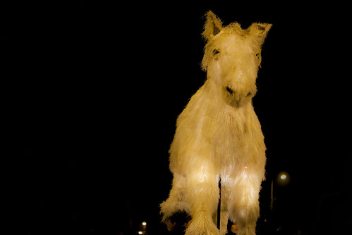 Macnas "On The Night Journey", Galway 2013
