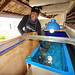 Asap beim Befüllen des Ersatzbeckens für die Korallen 
(Substitute coral tank)