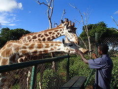 Uganda Wildlife Education Centre - Uganda