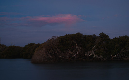 longexposure sunset twilight nikon explore mangrove gardenisland portadelaide laszlobilki