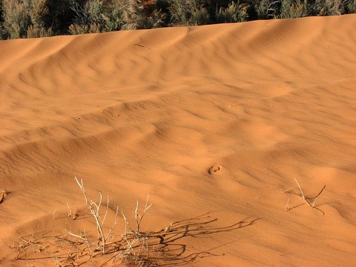 Sand Dunes 050 | by Chandler West