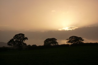 Sun beginning to set near Henfield