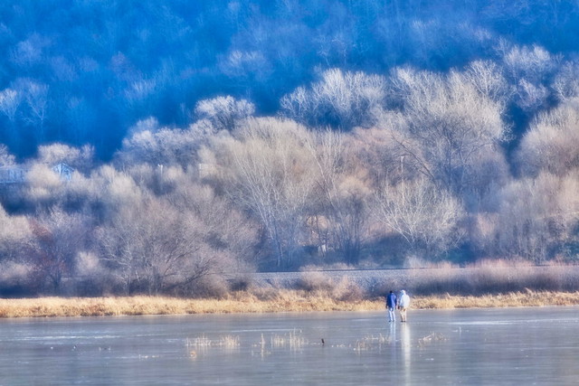 Frozen wetland