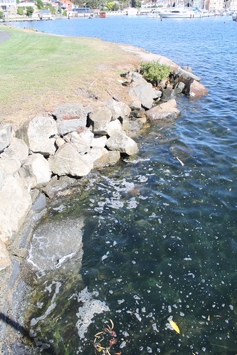 Sandy Bay