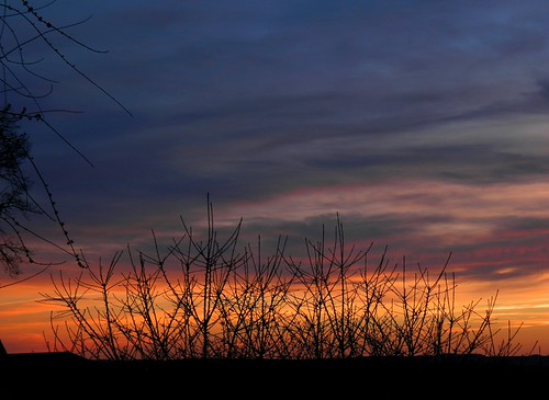 Fire by Alex-W.,                                trees sunset sky clouds soleil coucher ciel arbres nuages