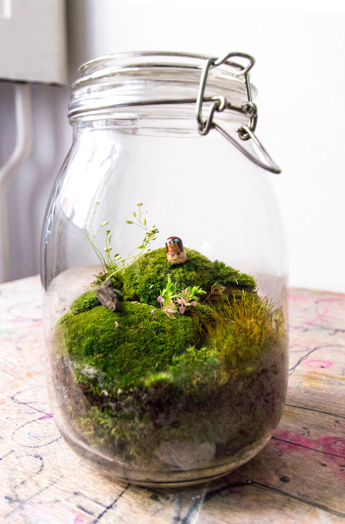 Moss Terrarium In A Jar Inspired By Twigterrariums Com Flickr,How To Cook Chicken On Stove