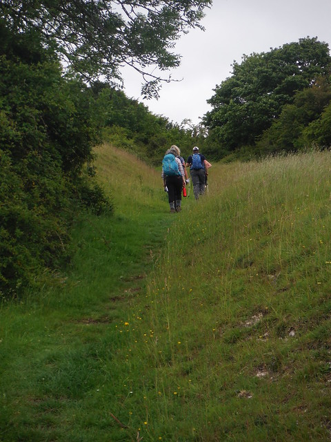 steep grassy path between earth banks SWC Walk 239 Halnaker to Chichester via Cass Sculpture Park and Goodwood