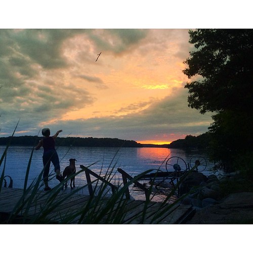 Playing Fetch #CelebrateYourLake by patrickjmeehan, square squareformat iphoneography instagramapp uploaded:by=instagram
