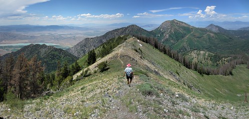 panorama utah pano trail alpine pinkhat nebo 089 nebolooproad 44qn nebobench trail089