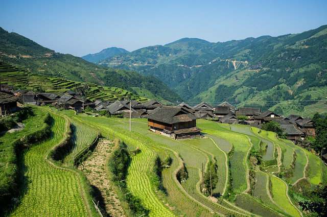 Jiabang rice terraces,Guizhou