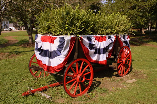 park wagon tn tennessee bunting huntingdon carrollcounty thomaspark bmok