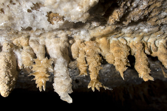 Chandelier formation, Blowhole Cave, Cannon County, Tennessee 2
