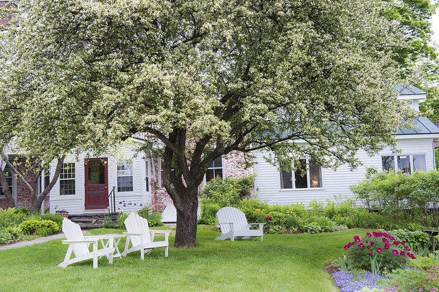 Apple tree on a lawn in front of an inn in Vermont, USA