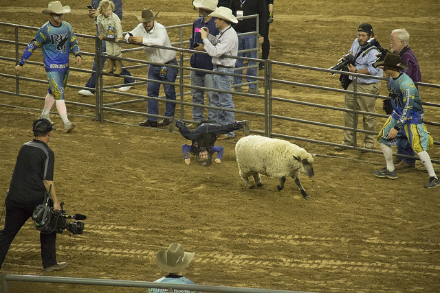 Rodeo and Concert2_128