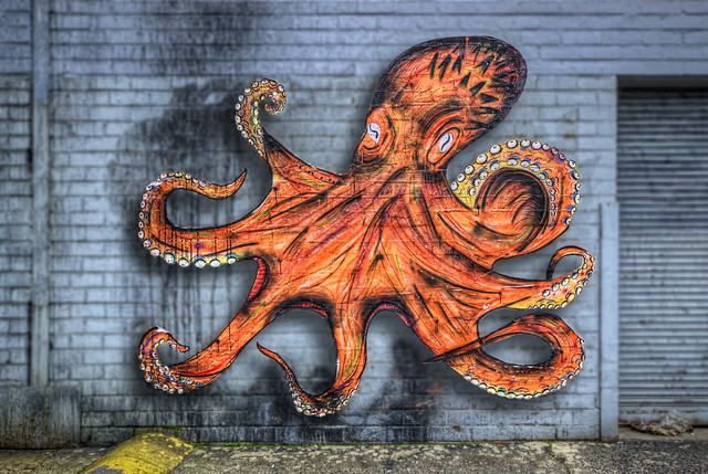 Orange octopus