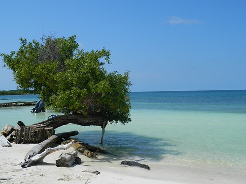 Isla Tintipán, Cartagena, Colombia | by @johnarleycano