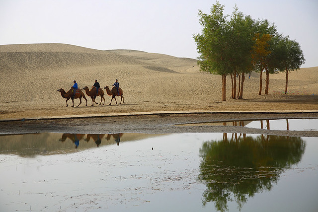 Three camel riders--edge of theTaklamakan Desert , Xinjiang Province , China