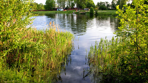 lake landscape outdoor 2012 tula петушки