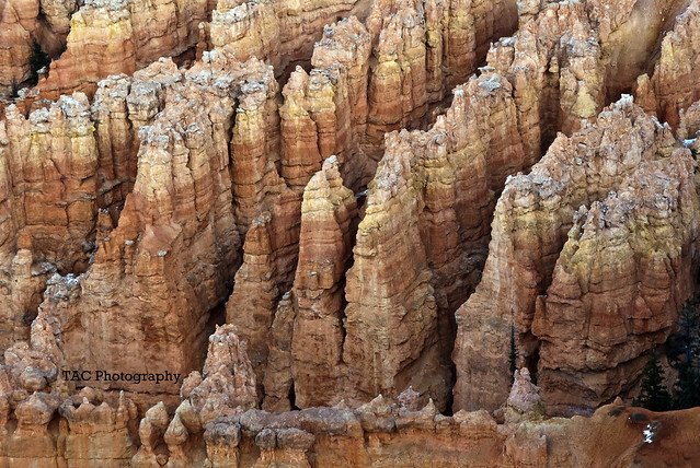 Hoodoos inside Bryce Canyon