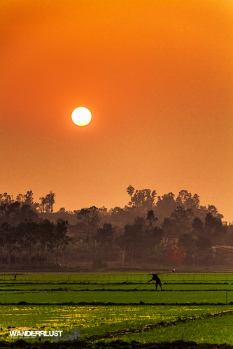 travel sunset orange beautiful field fire colorful flickr rice vietnam adventure nha phong farmstay phongnha wanderrlust