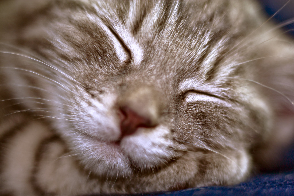 Sleeping in innocense