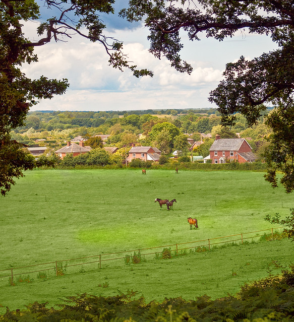A view from the Avon Valley Path at Mockbeggar in Hampshire