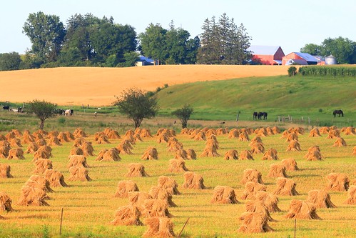 county shocks howard reis iowa larry springs lime oat