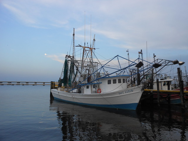 Shrimp boats in Biloxi