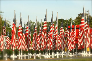 Memorial Flags | Torrey Wiley | Flickr
