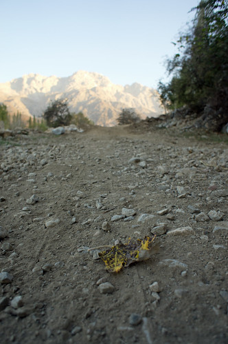 kyrgyzstanarslanbobdzhalalabadskayagorababashata leaf path gravel mountain