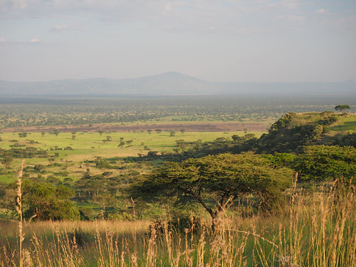 views uganda africanplains queenelizabethnationalpark