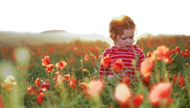 Hannah amongst the poppies on Ditchling Beacon