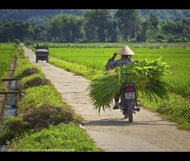 Lingering around Mai Chau, Vietnam, Southeast Asia