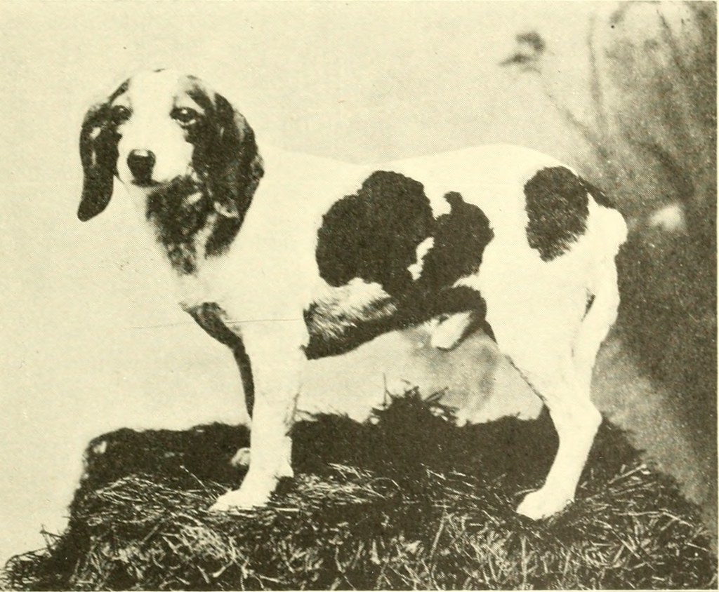 Image from page 76 of 