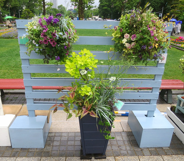 Potted and hanging plants - Sapporo