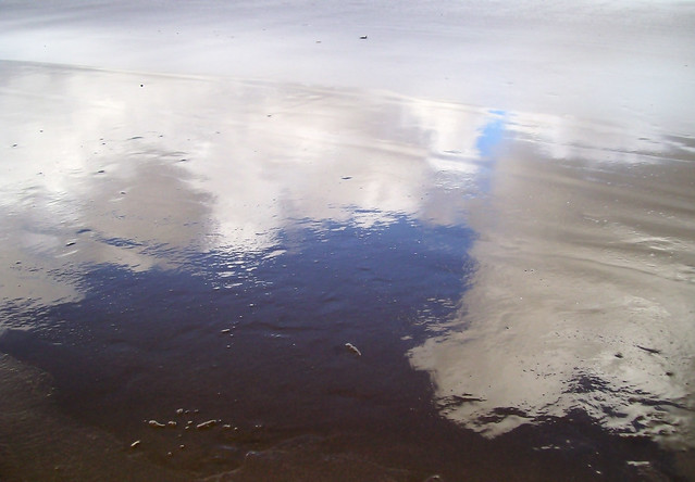 Reflections on Wet Sand