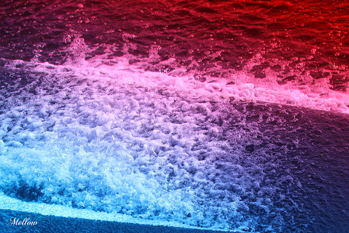 Colour Splash | by Ophidion