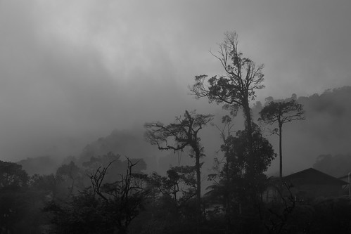 gentinghighlands kualalumpur malaysia cablecar clouds cloudy fog foggy forest highlands hills mountain rainforest tram batangkali selangor canon6d 6d canon lightroom5 adobe lightroom happyplanet asiafavorites