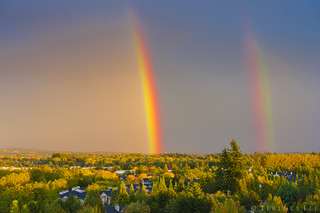 Flickr photo: Good things come in pairs
