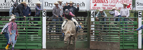 Bull Rider 4 | Baker County Panhandle Rodeo in Halfway Orego… | Flickr