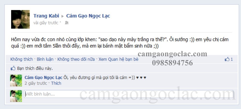 CÁM GẠO ĐƯỢC TẠO THÀNH TỪ LỚP NGOÀI CÙNG CỦA HẠT THÓC