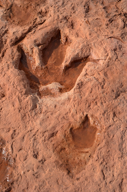 Dinosaur Tracks, Navajo Nation, Arizona